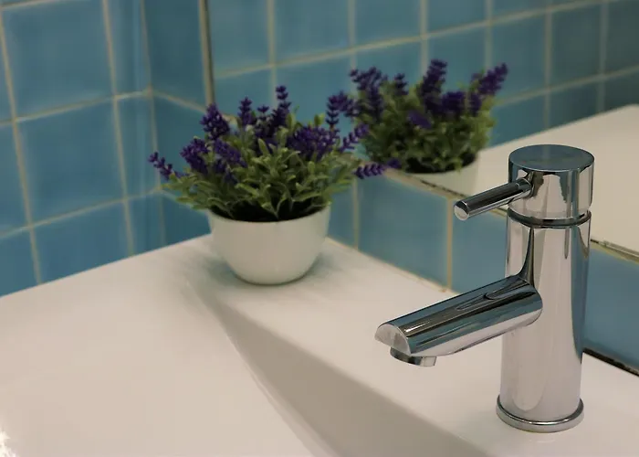 カサス ド アルコ *