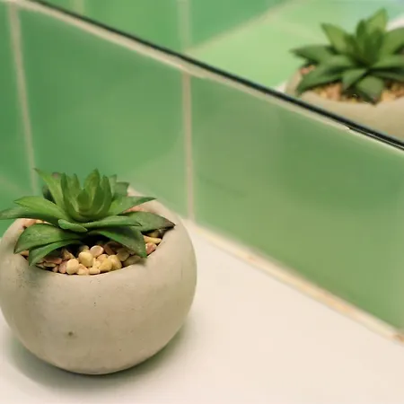 拱形屋公寓
